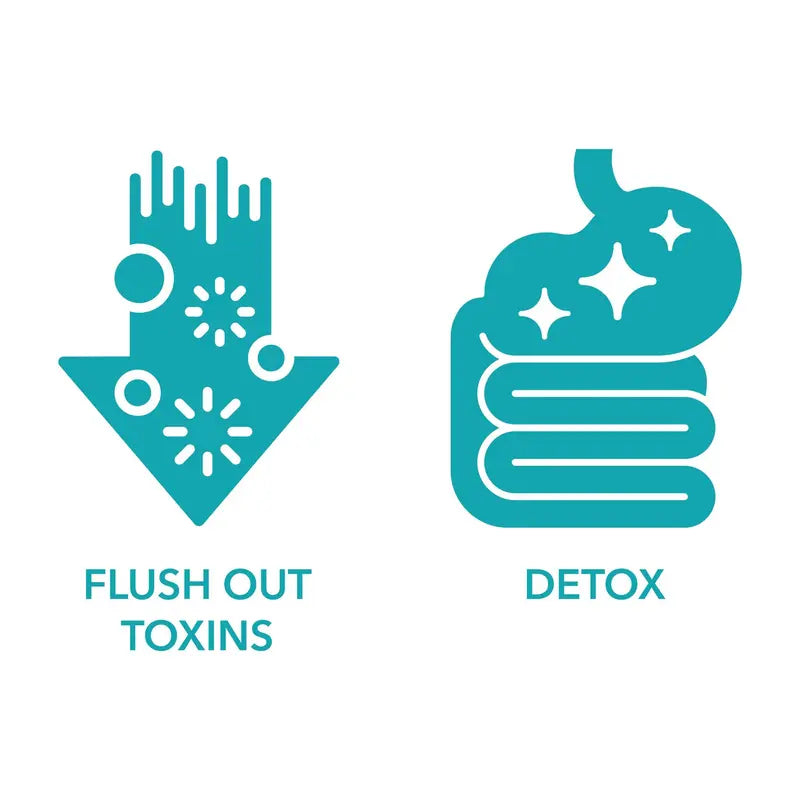 15 Day Cleanse - Gut and Colon Support | Advanced Formula with Fiber | Non-Gmo | Made in USA | 30 Capsules